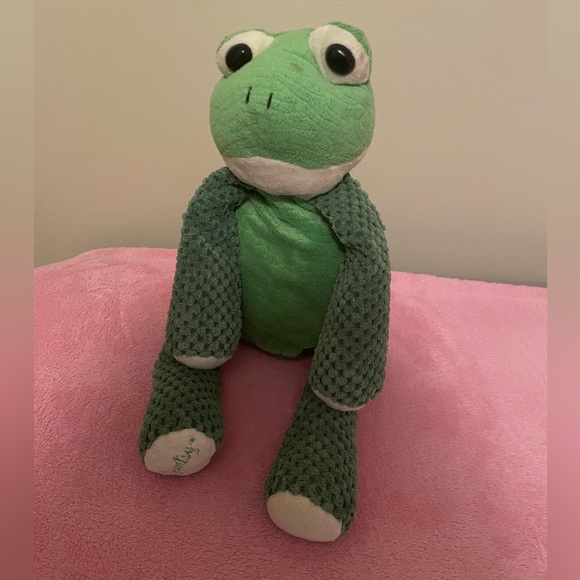 Scentsy Buddy Frog with Amazon Rain scent pack - Picture 1 of 6